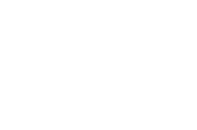 Logo VIE
